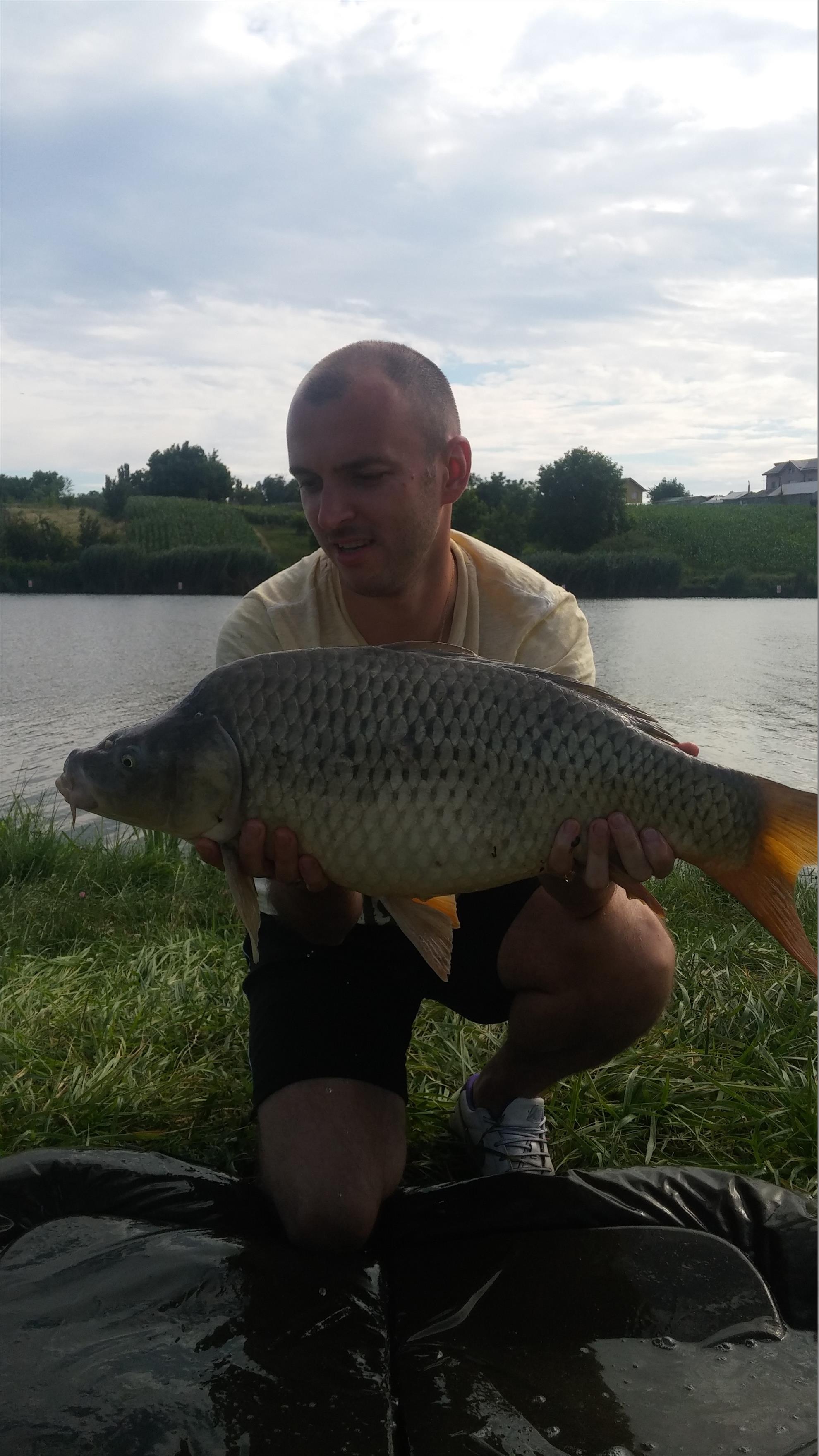 MV2 2 iul. 2015 - 2015070317022211.jpg